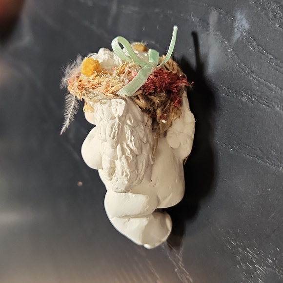 Dreamsicles laying down - Picture 3 of 11